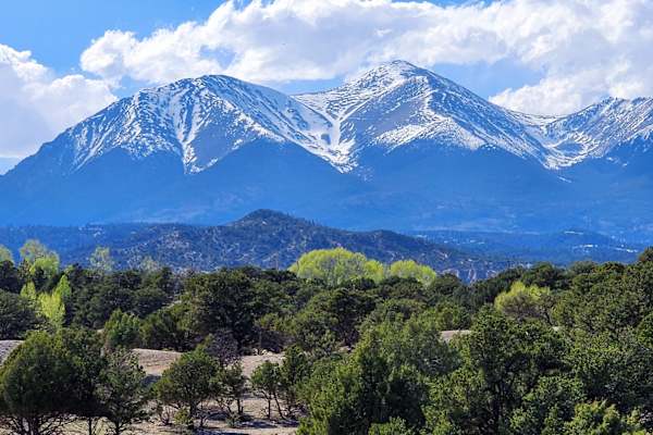 House sit in Salida, CO, US