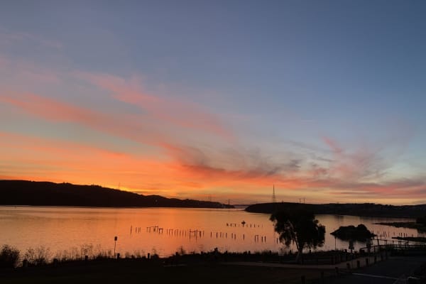 House sit in Benicia, CA, US