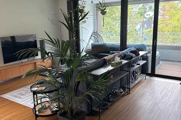 House sit in Zürich, Switzerland