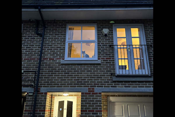 House sit in Teddington, United Kingdom