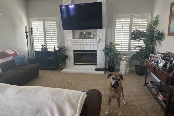 House sit in Wildomar, CA, US