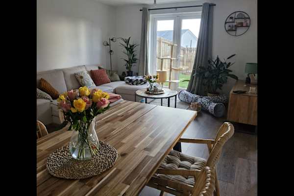 House sit in Edinburgh, United Kingdom