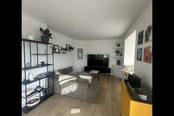 House sit in Amsterdam, Netherlands