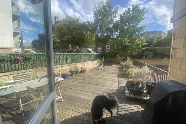 House sit in Edinburgh, United Kingdom