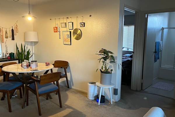 House sit in Los Angeles, CA, US