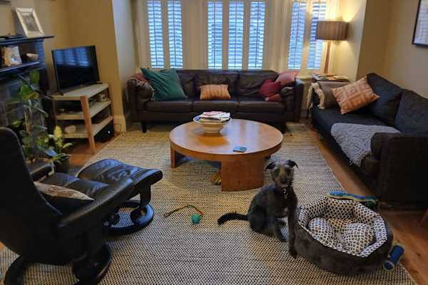 House sit in London, United Kingdom