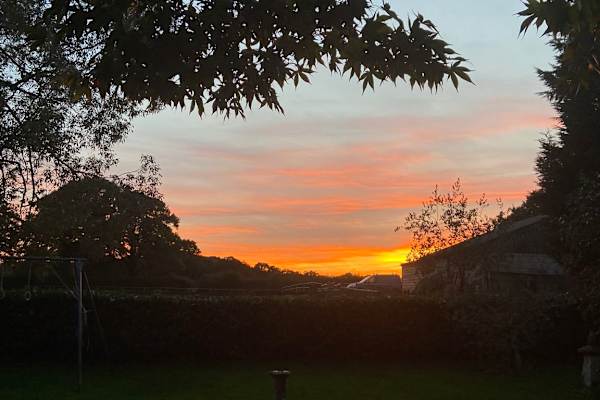 House sit in Horley, United Kingdom