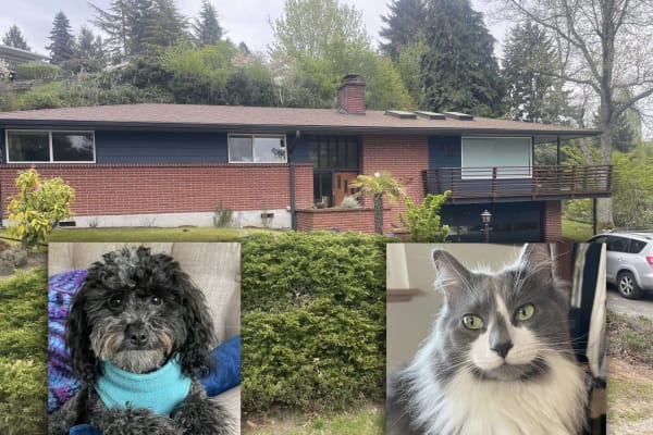 House sit in Burien, WA, US