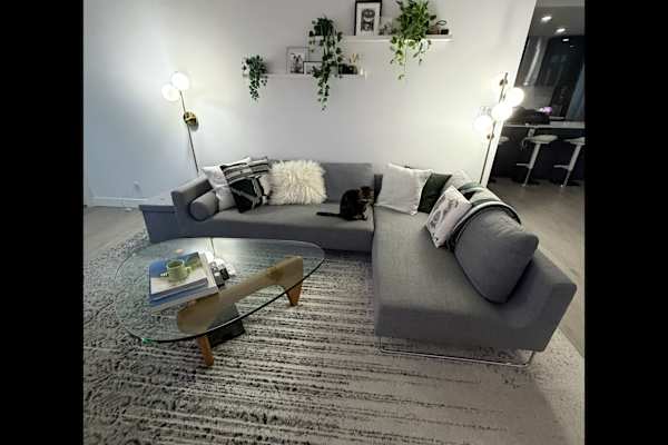 House sit in Vancouver, BC, Canada