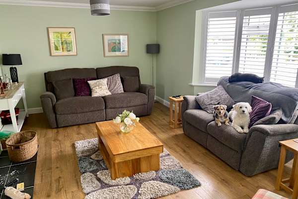 House sit in Eastleigh, United Kingdom