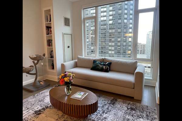 House sit in Chicago, IL, US