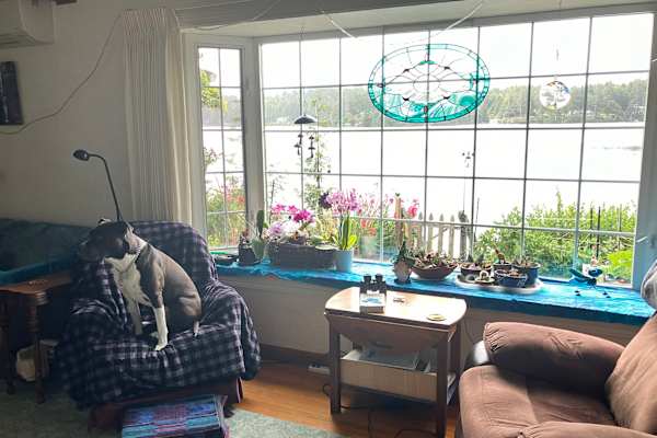 House sit in Florence, OR, US