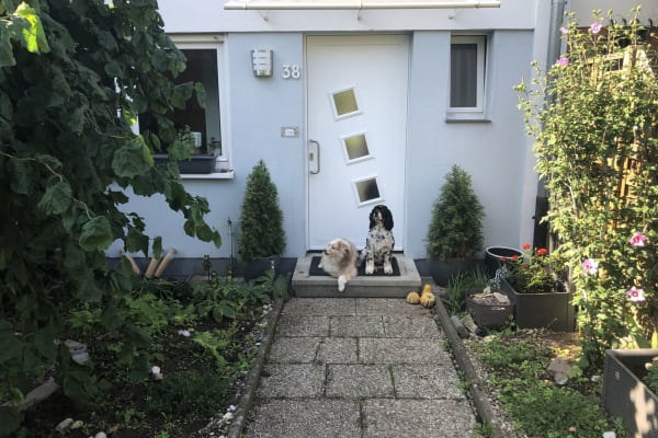 House sit in Nürnberg, Germany