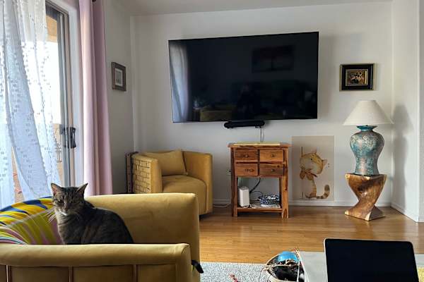 House sit in Phoenix, AZ, US