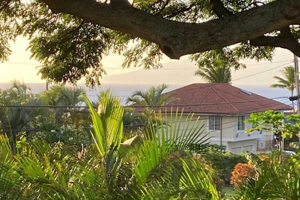 House sit in Lahaina, HI, US