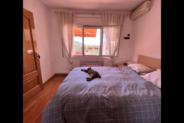 House sit in Barcelona, Spain