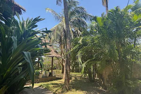 House sit in Diani Beach, Kenya