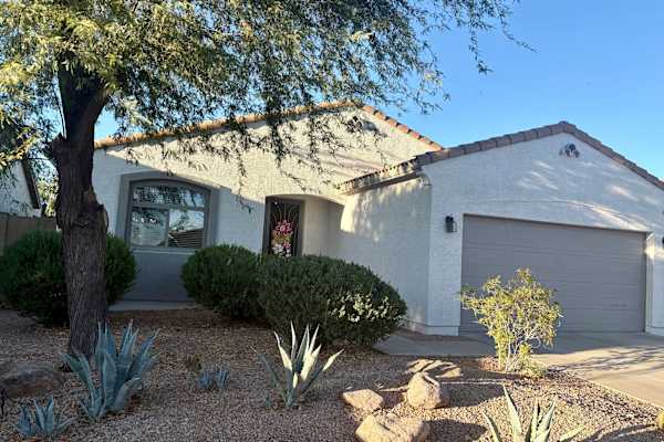 House sit in Phoenix, AZ, US