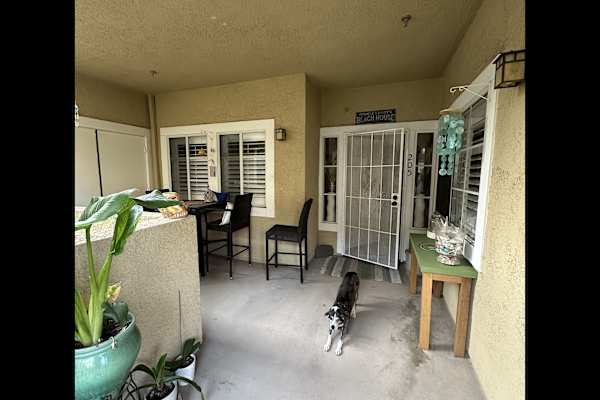 House sit in Huntington Beach, CA, US