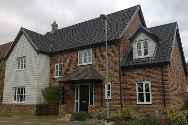 House sit in Norwich, United Kingdom