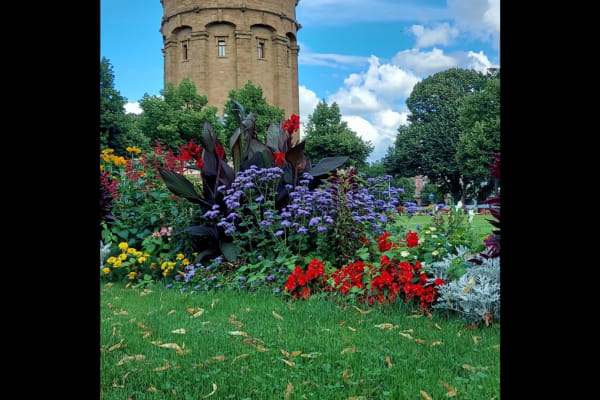 House sit in Mannheim, Germany