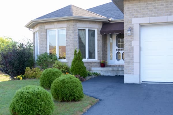 House sit in Ottawa, ON, Canada