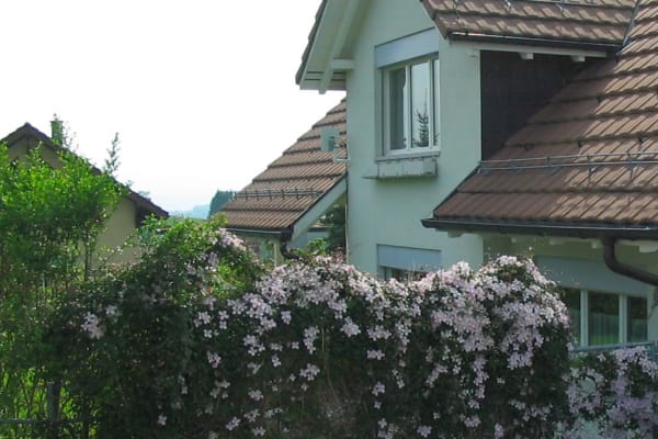 House sit in Rüti, Switzerland