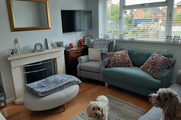 House sit in Wendover, United Kingdom