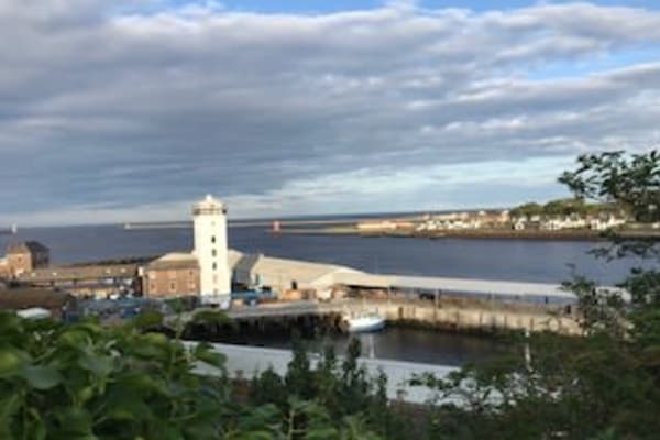 House sit in North Shields, United Kingdom
