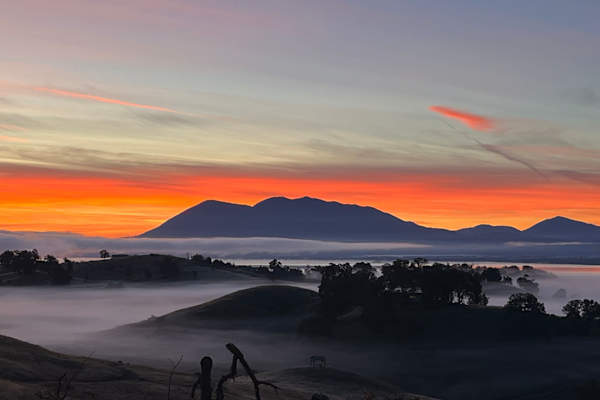House sit in Lakeport, CA, US