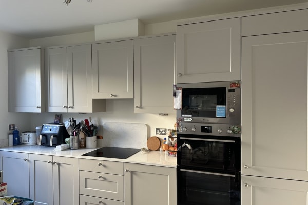 House sit in Maynooth, Ireland