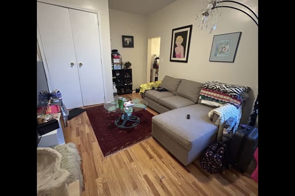House sit in Crown Heights, NY, US