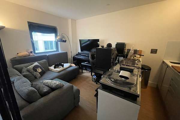 House sit in Wandsworth, United Kingdom