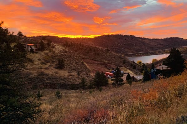 House sit in Fort Collins, CO, US