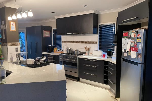 House sit in Wanganui, New Zealand