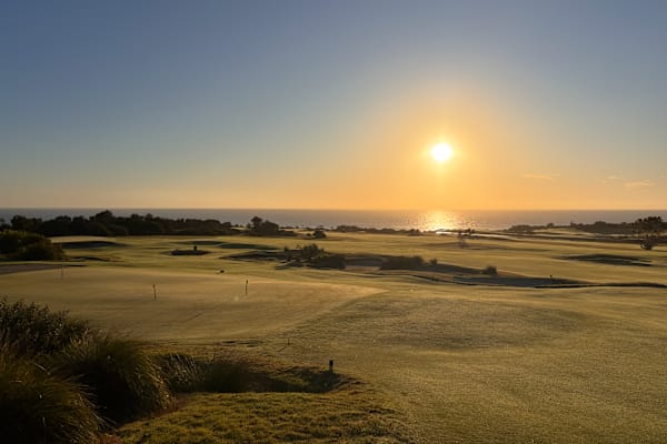 House sit in Sydney, NSW, Australia