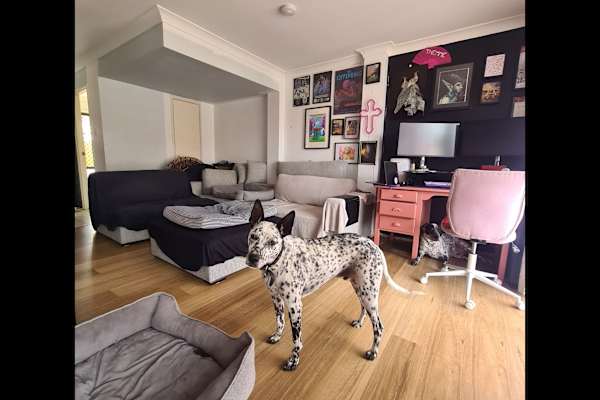 House sit in Logan City, QLD, Australia