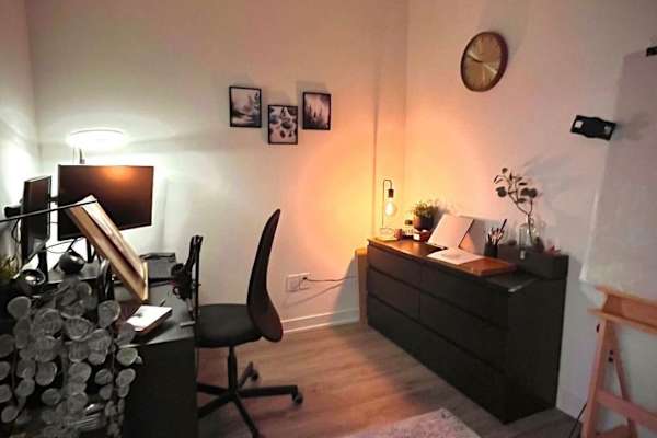 House sit in Hamilton, ON, Canada