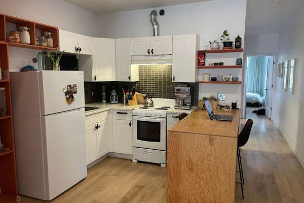 House sit in Montréal, QC, Canada