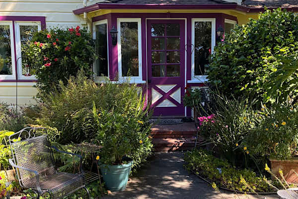 House sit in Sebastopol, CA, US