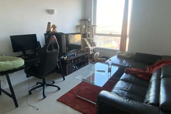 House sit in Abu Dhabi, United Arab Emirates