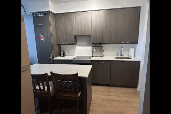 House sit in Mississauga, ON, Canada