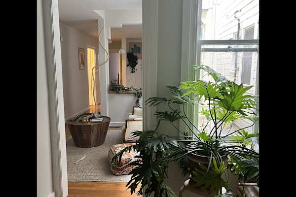 House sit in San Francisco, CA, US