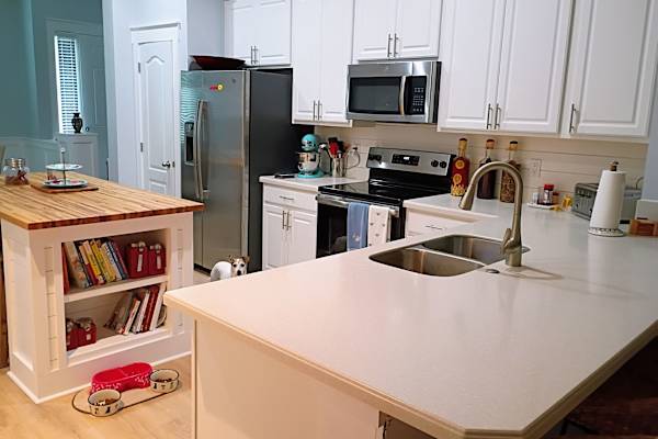 House sit in Amelia Island, FL, US