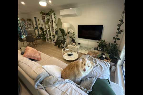 House sit in Gold Coast, QLD, Australia