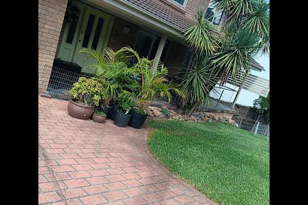 House sit in Sydney, NSW, Australia