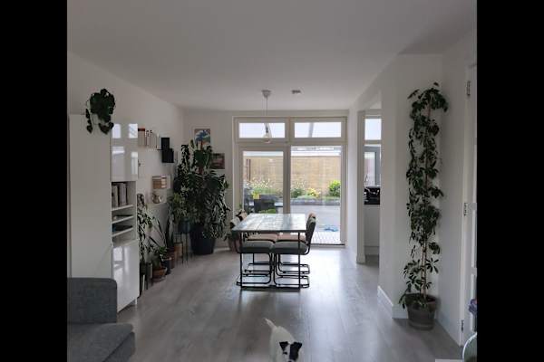 House sit in Zaandam, Netherlands