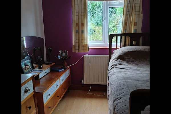 House sit in Machynlleth, United Kingdom