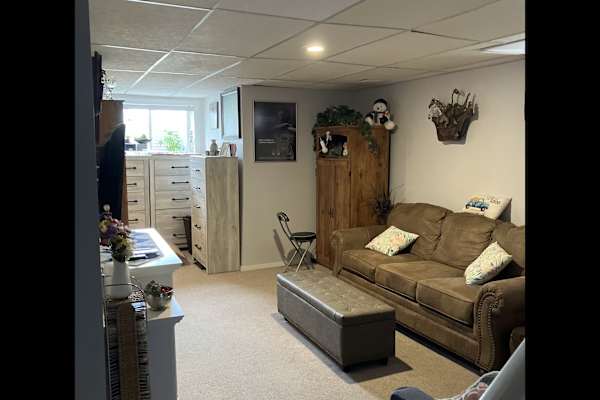 House sit in Calgary, AB, Canada