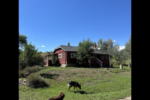 House sit in Loveland, CO, US